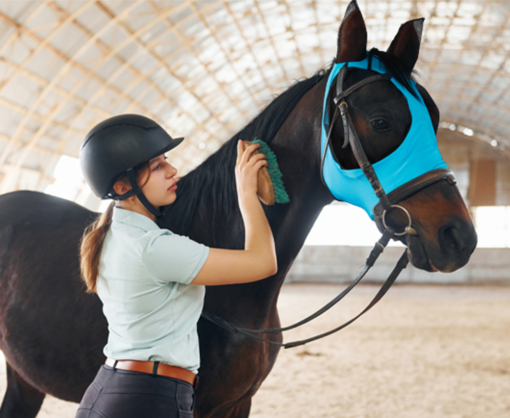 Fly Protection – Nuvola Equestrian